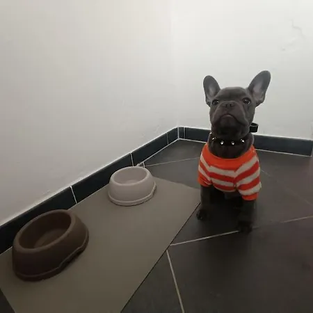 La Casa Del Capo - Con 2 Camere. Venaria Reale