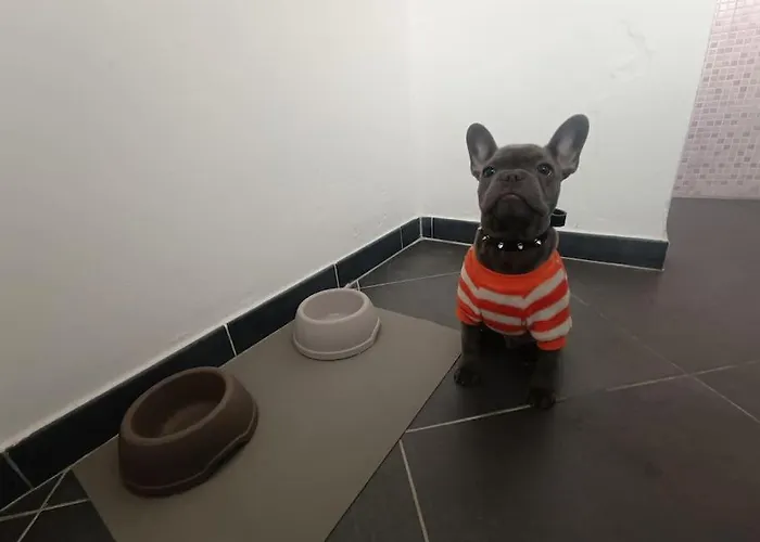 La Casa Del Capo - Con 2 Camere. Venaria Reale